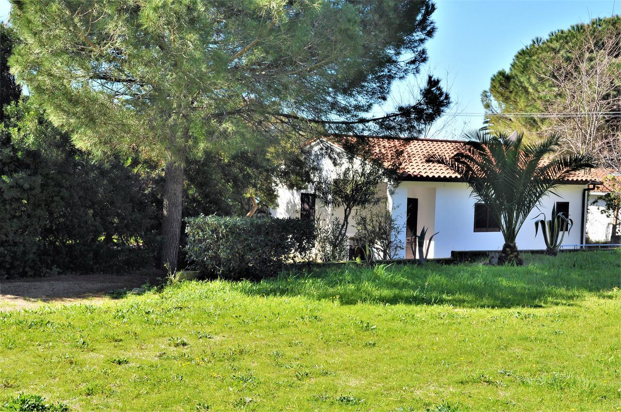 Appart hôtel Albatros